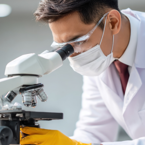 Cientistas Revelam O Atalho Dopaminérgico Que Está Transformando Pessoas Comuns em Gênios da Produtividade